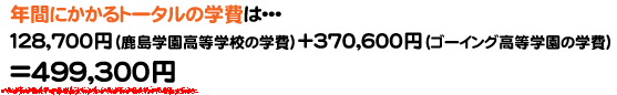年間にかかるトータルの学費は・・・128,700円(鹿島学園高等学校の学費)+370,600円(ゴーイング高等学園の学費)=499,300円
